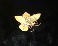lacquer butterfly